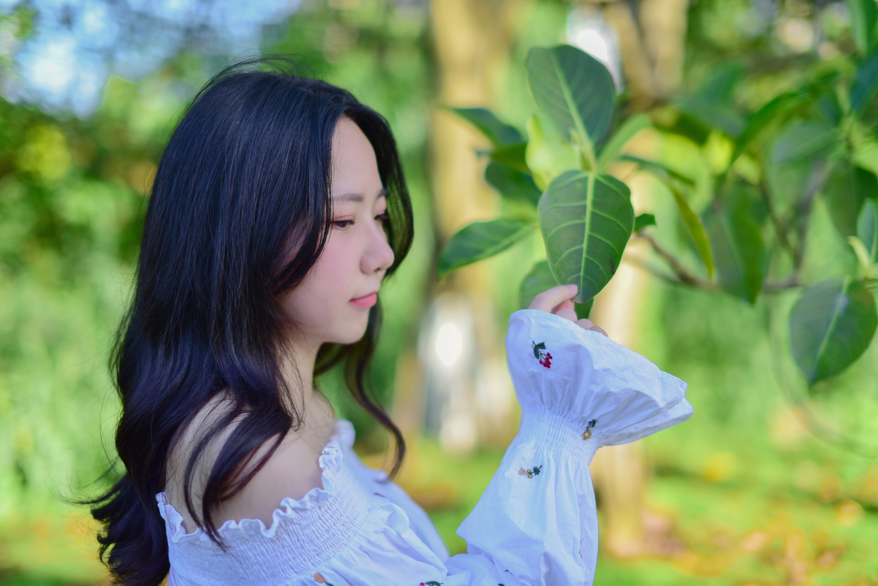 [cest]盛夏里的小清新