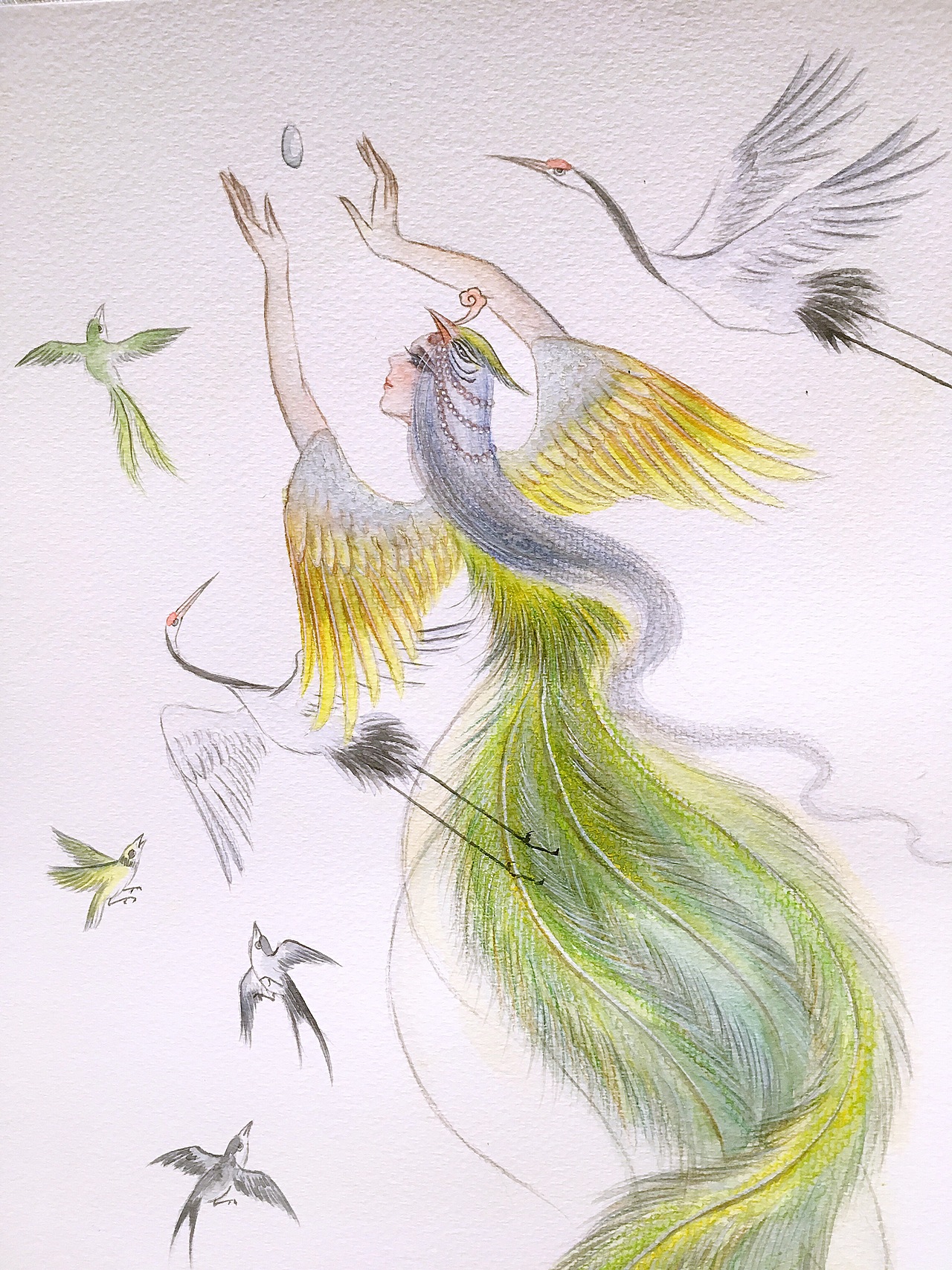 水彩插画(凤仙)（图ZMTE5ODMzNTMy） - 艺术插画 - 站酷设计师画师云木原创素材 - 站酷ZCOOL