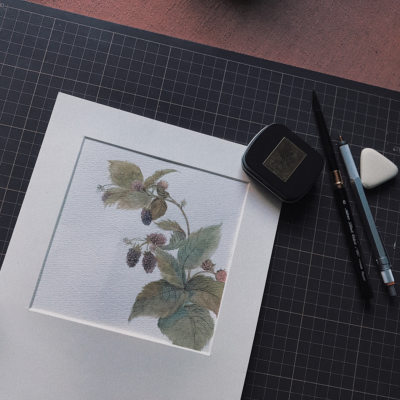 植物说（图ZMjA2MTI1OTUy） - 艺术插画 - 站酷设计师AMENGA原创素材 - 站酷ZCOOL