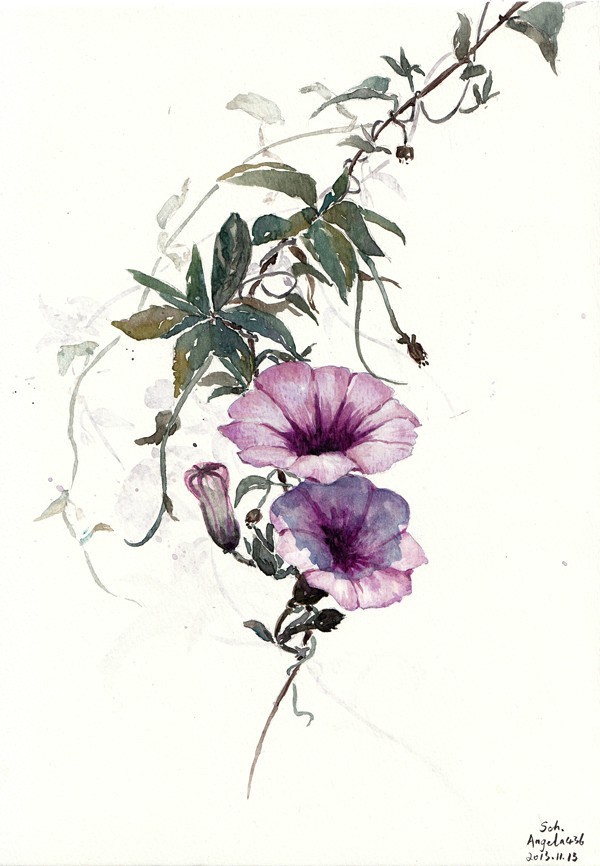 第1期手绘水彩花鸟网络班学员作品