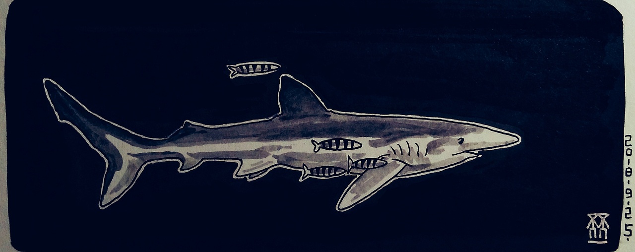 要在茫茫人海中找到自己（图ZMTM0NjE3NjU2） - 单幅漫画 - 站酷设计师李安朔原创素材 - 站酷ZCOOL