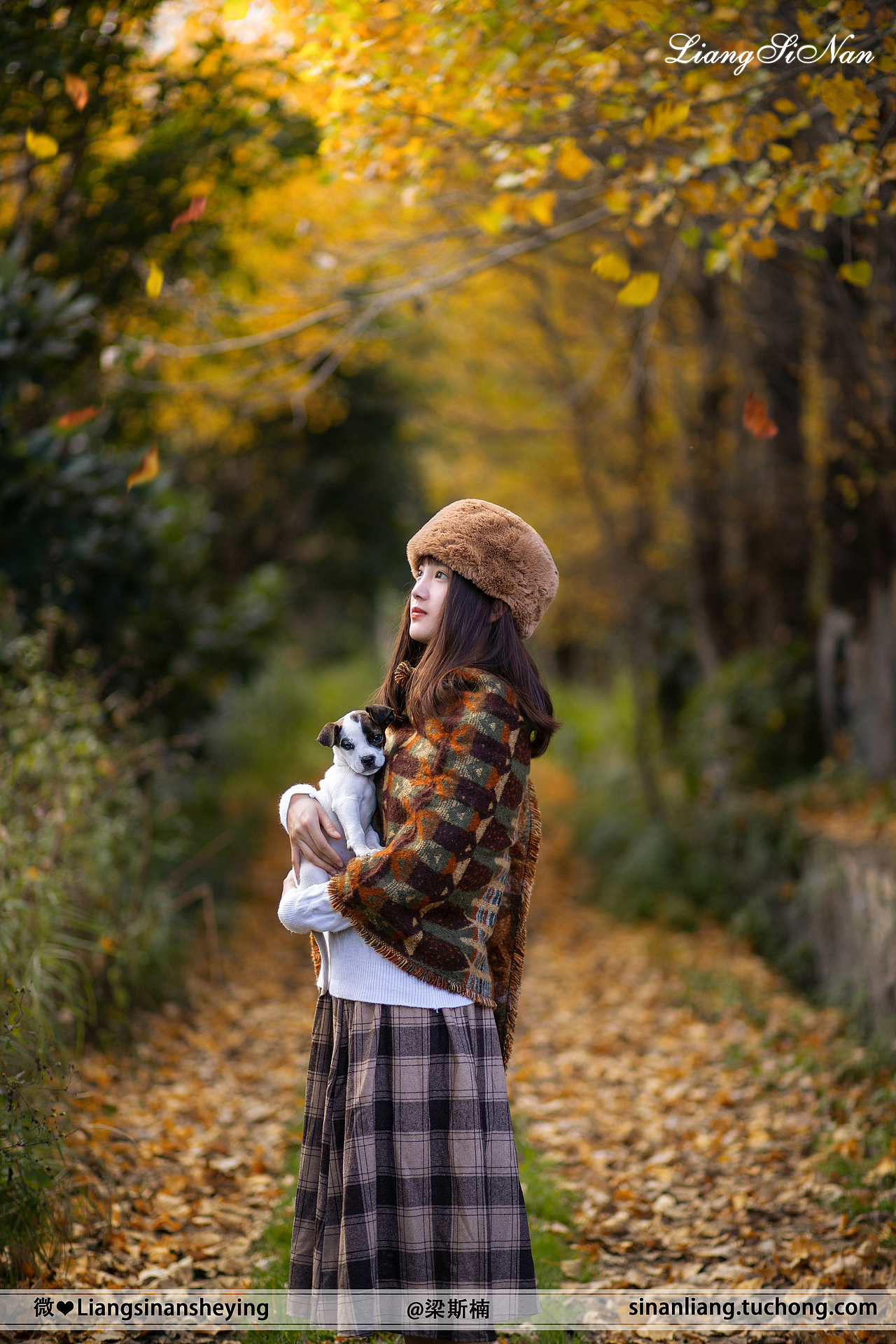 寄给你这片小小的银杏叶,它什么也不暗示,因为秋天了