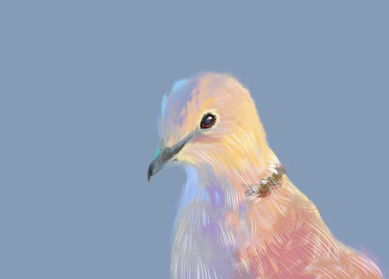 一个小时左右的半成品