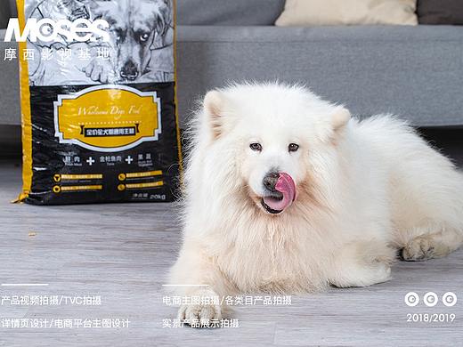 宠物粮食用品拍摄，主图视频拍摄