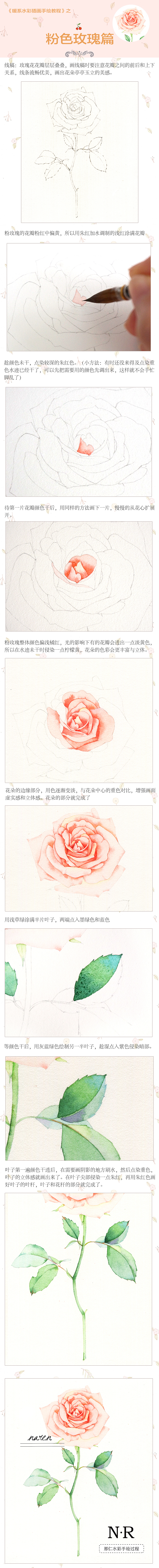 水彩花卉教程—《粉色玫瑰篇》（图ZMTAyNTE4OTY0） - 商业插画 - 站酷设计师那仁原创素材 - 站酷ZCOOL
