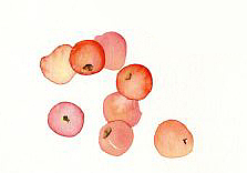 大学毕设 插图《囚》