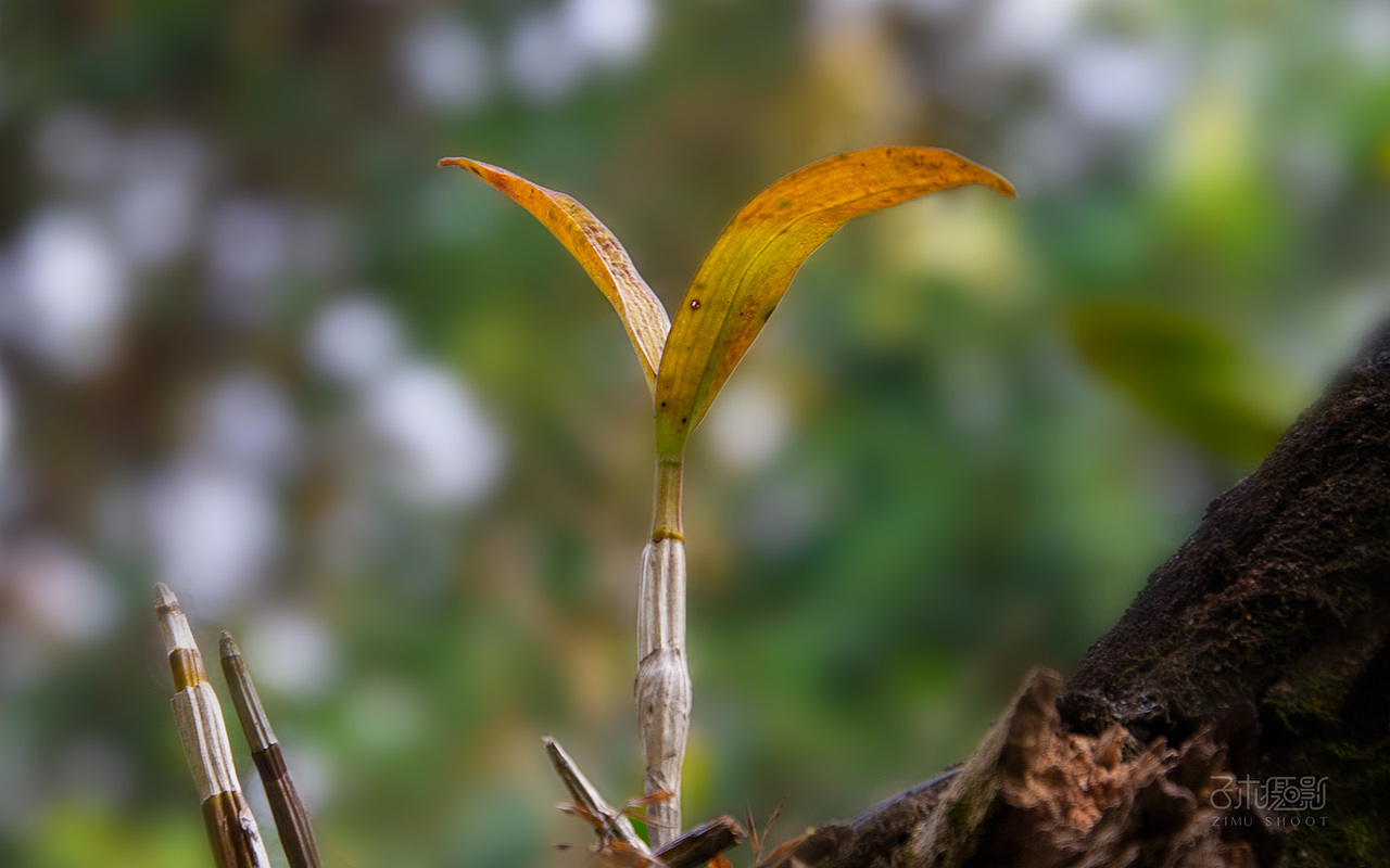 20191214青青世界