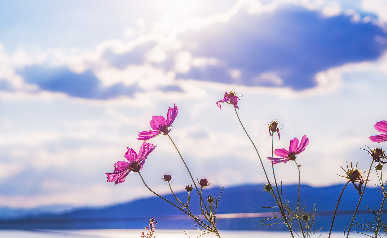 碧水藍天撫仙湖（圖ZMTA3MDYyNDM2） - 風(fēng)光攝影 - 站酷設(shè)計師adkda原創(chuàng)素材 - 站酷ZCOOL