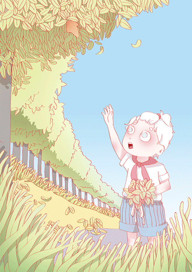 绘本《美丽之物》#青春答卷2017#