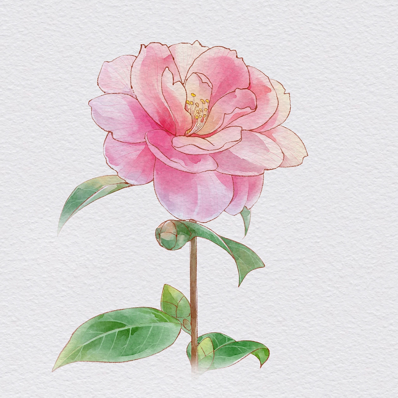 水彩花卉（图ZMzUxNTc1ODY0） - 创作习作 - 站酷设计师一条小鳄鱼原创素材 - 站酷ZCOOL