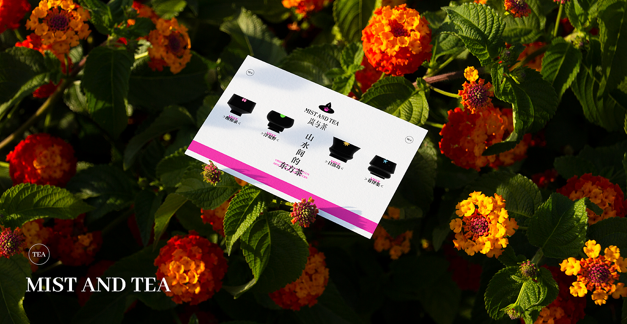 岚与茶 | 茶饮品牌全案