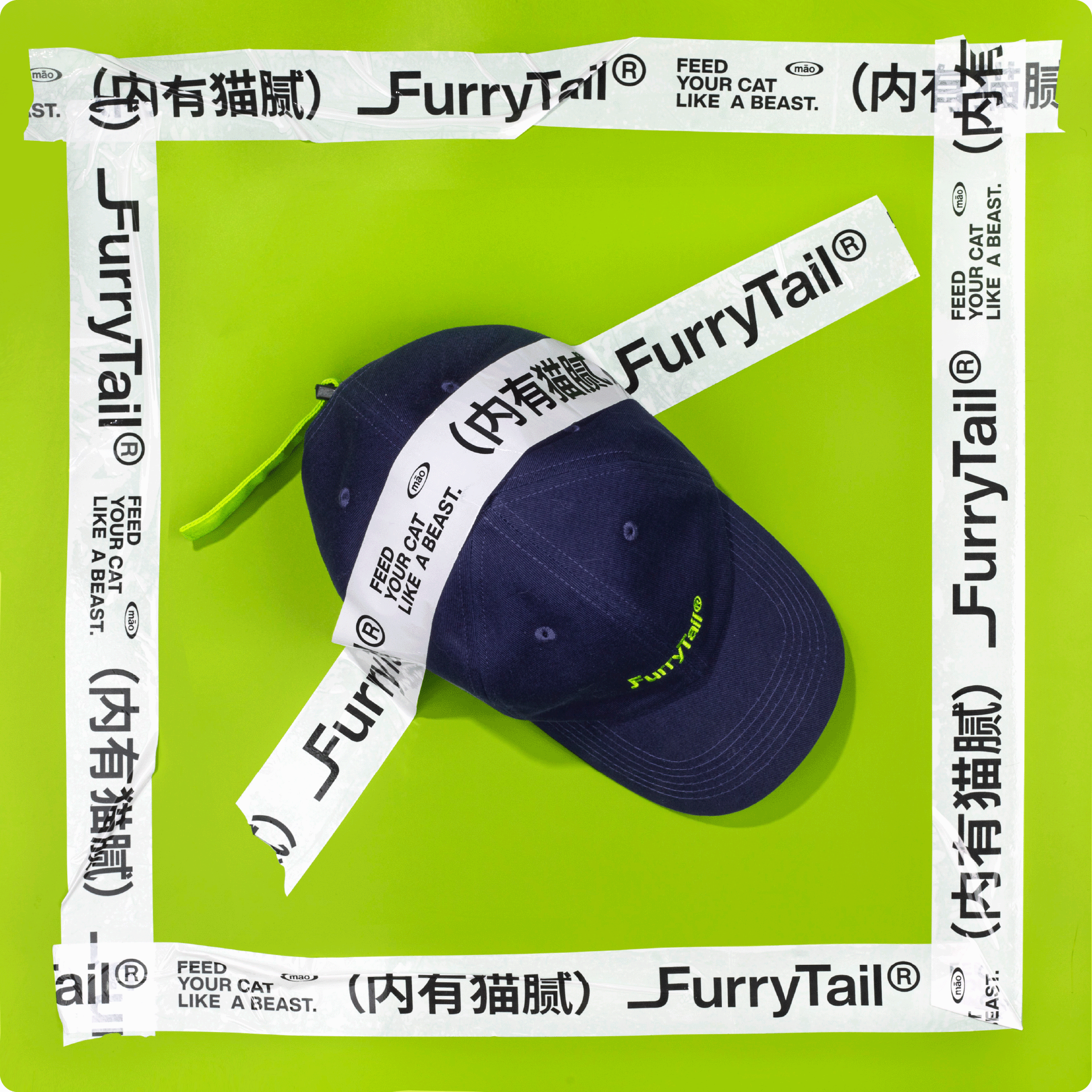 尾巴生活® & DXD联名礼盒 -「内有猫腻」