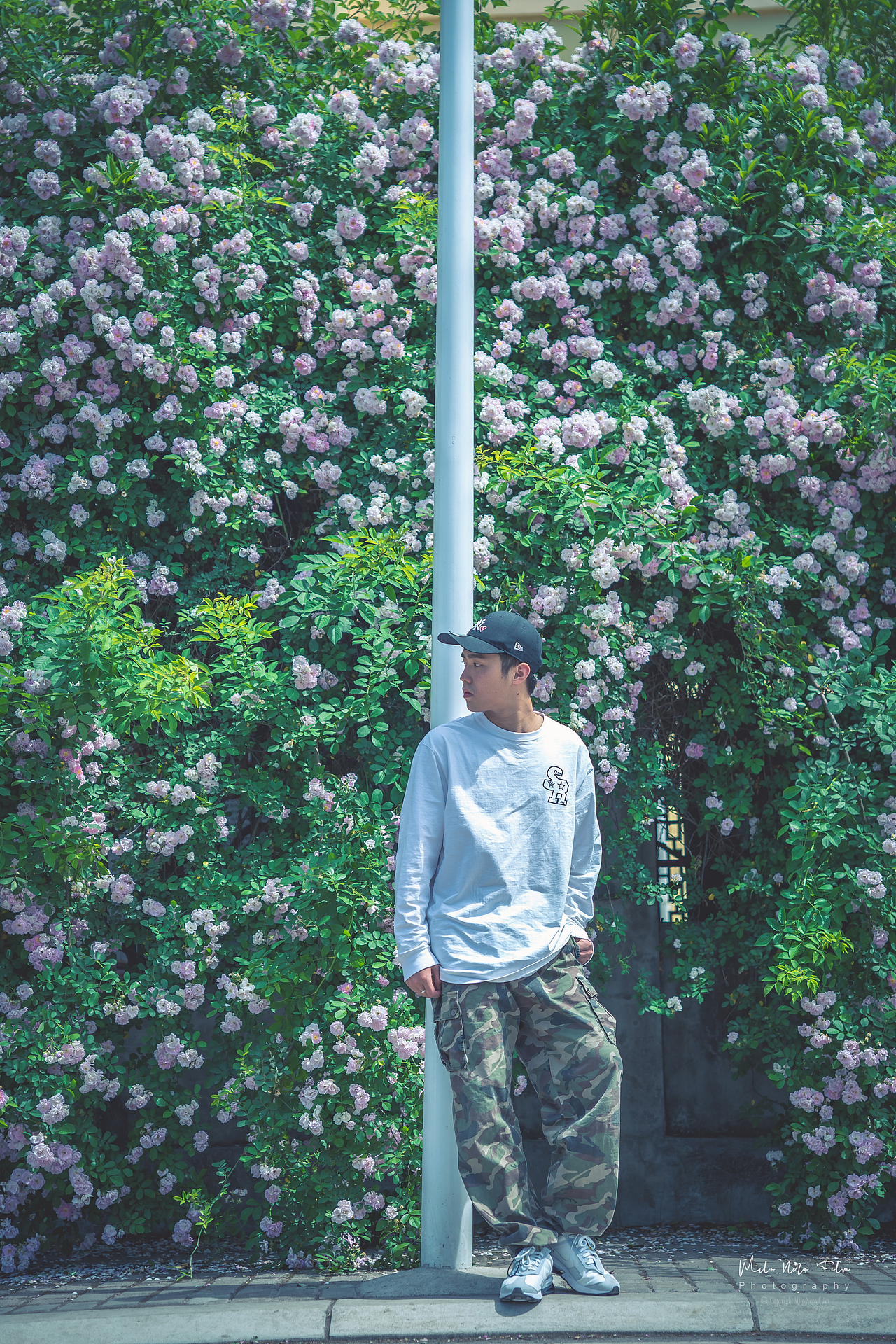 江油大康看个花（图ZMjk4OTQ0MjYw） - 人文/纪实摄影 - 站酷设计师MN宇视觉原创素材 - 站酷ZCOOL