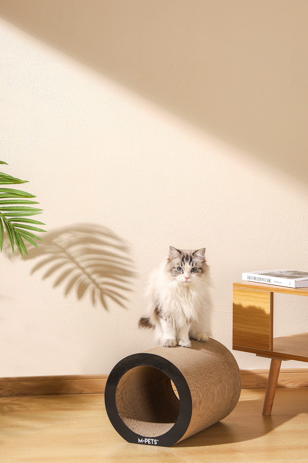 宠物用品拍摄（图ZMzMyNDE5ODQ0） - 产品摄影 - 站酷设计师何为心安原创素材 - 站酷ZCOOL