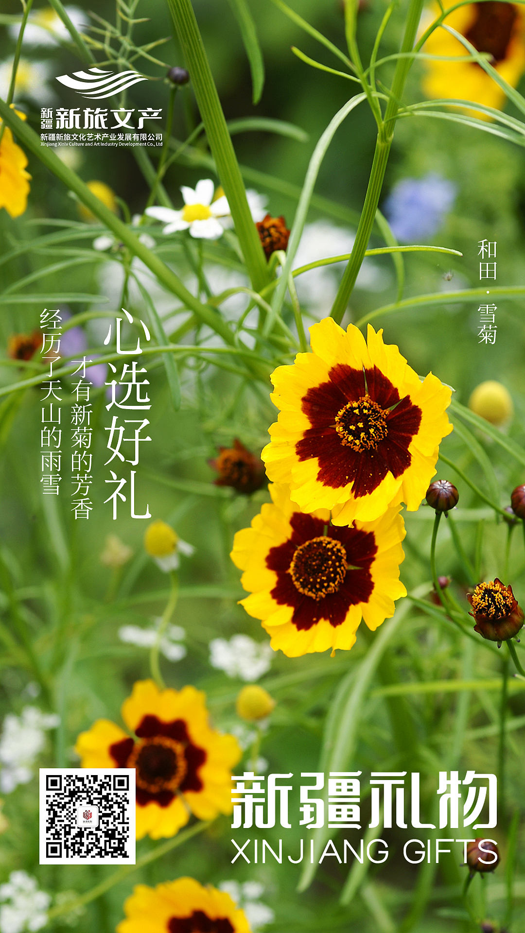 新疆礼物品牌宣传海报（图ZMzUyODM0NjY4） - 海报 - 站酷设计师lily129125原创素材 - 站酷ZCOOL