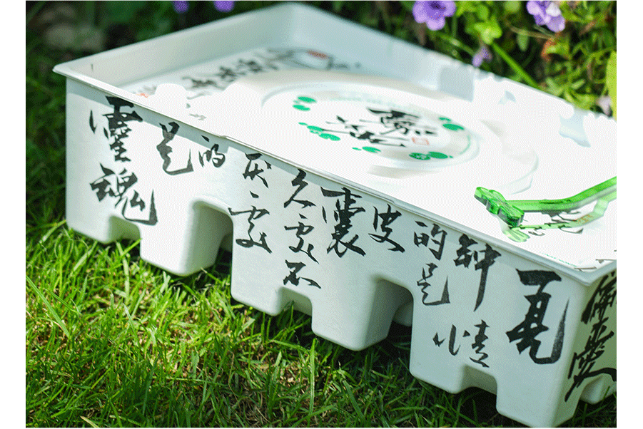 盒创艺术家/夏日之梦艺术展