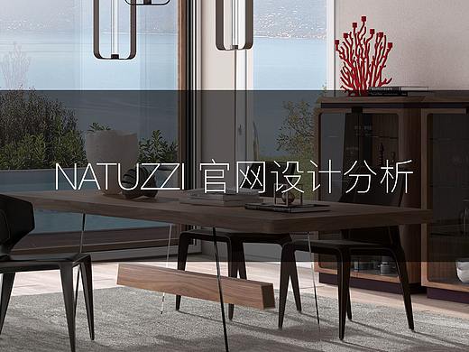Natuzzi网站设计分析