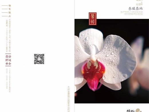 馨怡蝴蝶蘭-2折頁設(shè)計(jì)（個(gè)人主頁-ZMjQ1NDczMzI=） - 宣傳物料 - 站酷設(shè)計(jì)師山久文化原創(chuàng)素材 - 站酷ZCOOL