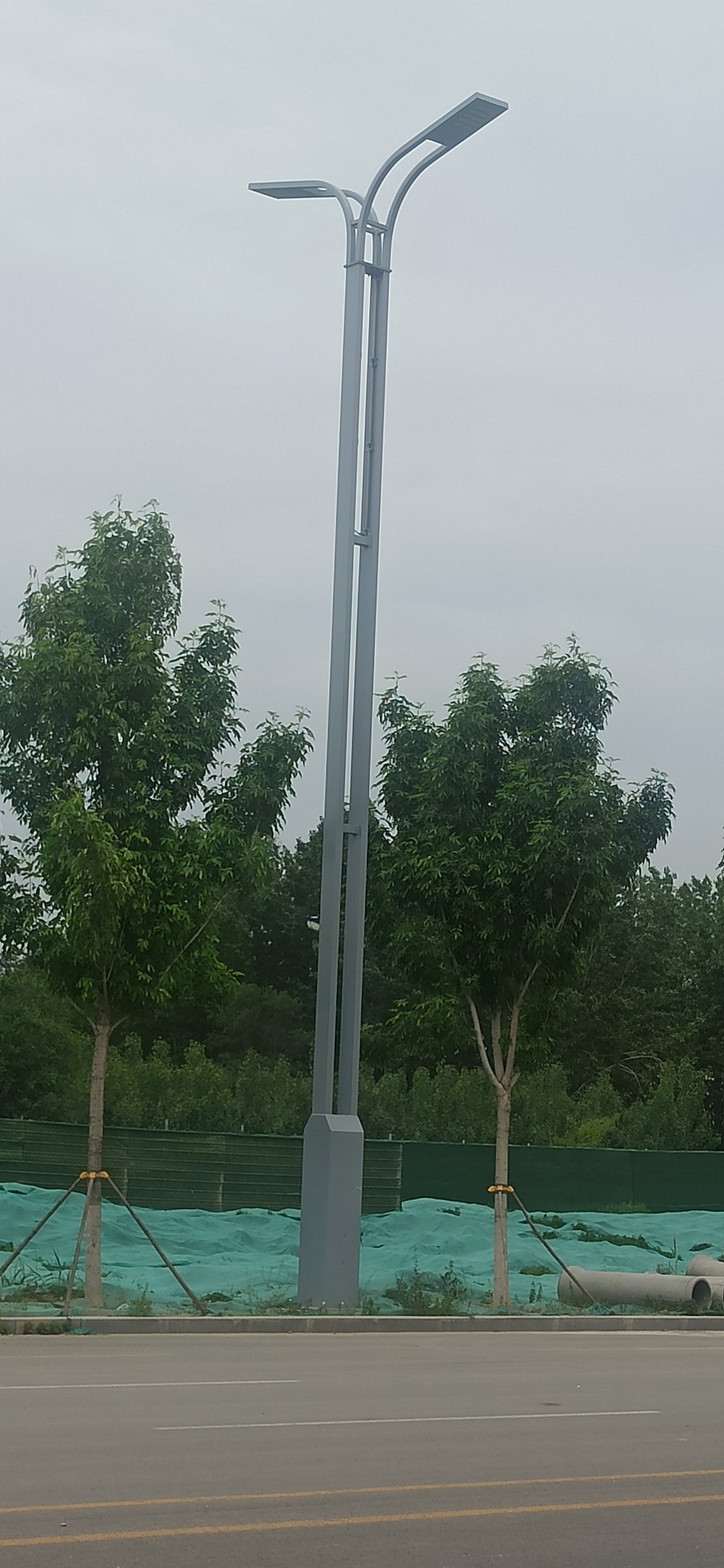 10米12米简单大气双臂路灯扬州姜涛节日灯厂家