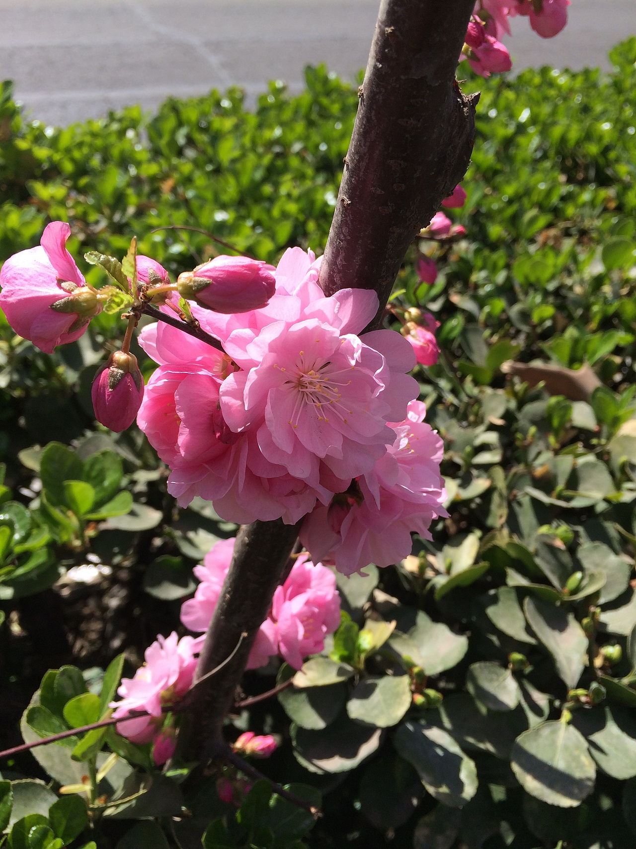 今天（图ZNDUyOTMwMDA=） - 产品摄影 - 站酷设计师颜颜Luna原创素材 - 站酷ZCOOL