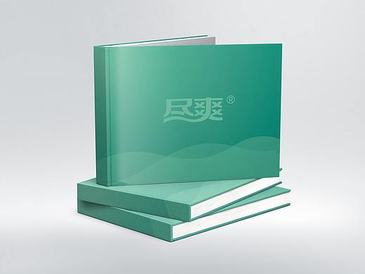 正本设计｜含片品牌 VI手册设计