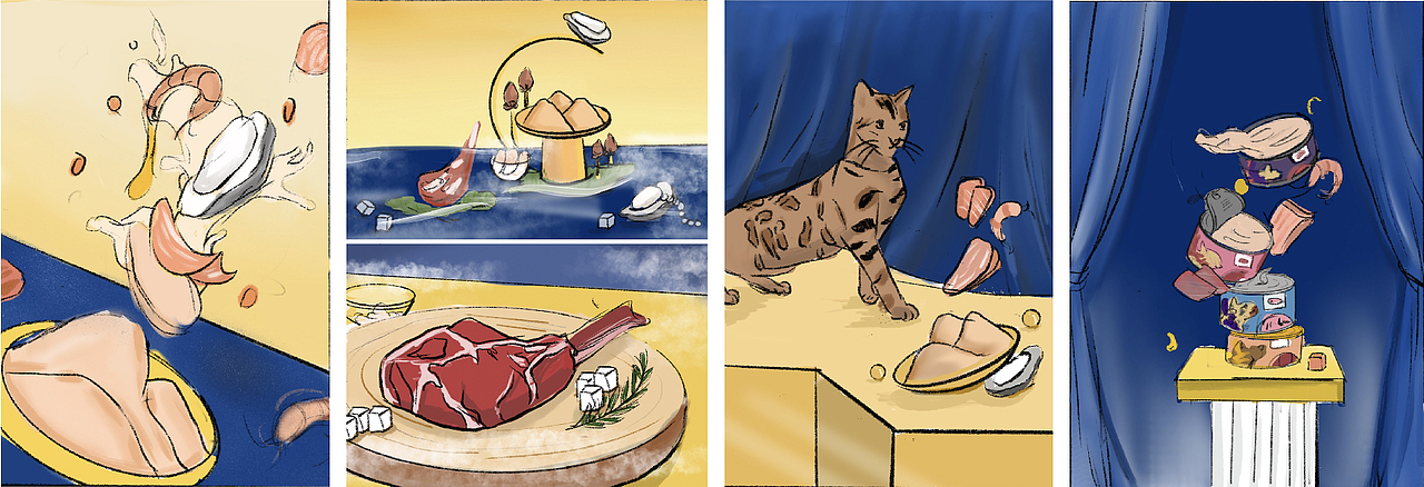 宠物用品摄影｜麦富迪猫罐头 X 当下视觉