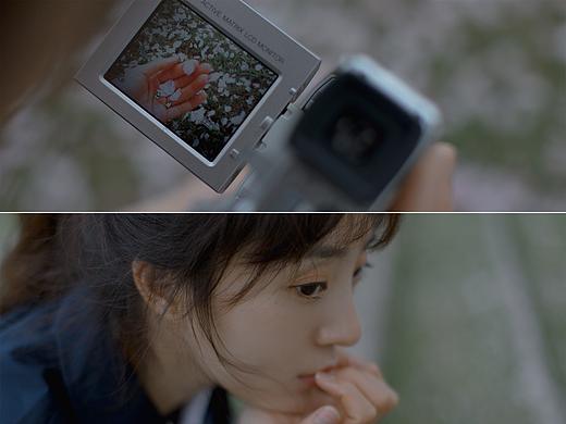 看一场盛大的花落