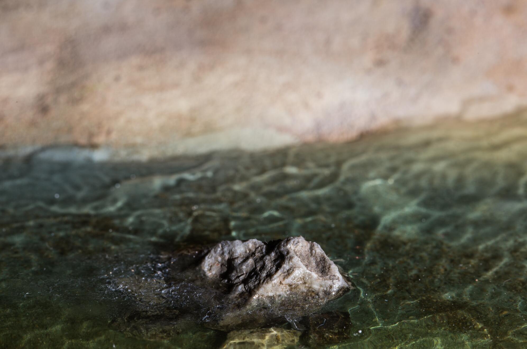 权利的游戏冰与火之歌卓耿龙模型手办雕像