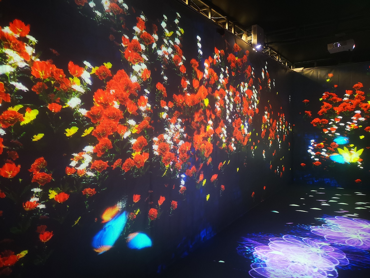 网红呼吸森林租赁 互动花海 互动鲸鱼