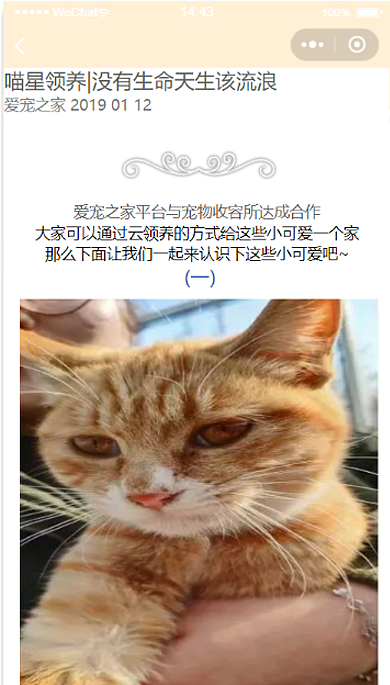 微信小程序（图ZMTUwMzI5MjI0） - 其他UI - 站酷设计师UI设计师浪人原创素材 - 站酷ZCOOL