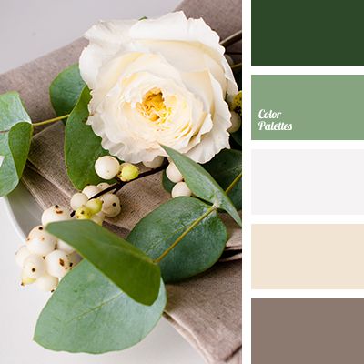 北極星計(jì)劃的個(gè)人主頁（背景預(yù)覽） - 主頁背景設(shè)置 - 站酷設(shè)計(jì)師北極星計(jì)劃原創(chuàng)素材 - 站酷ZCOOL