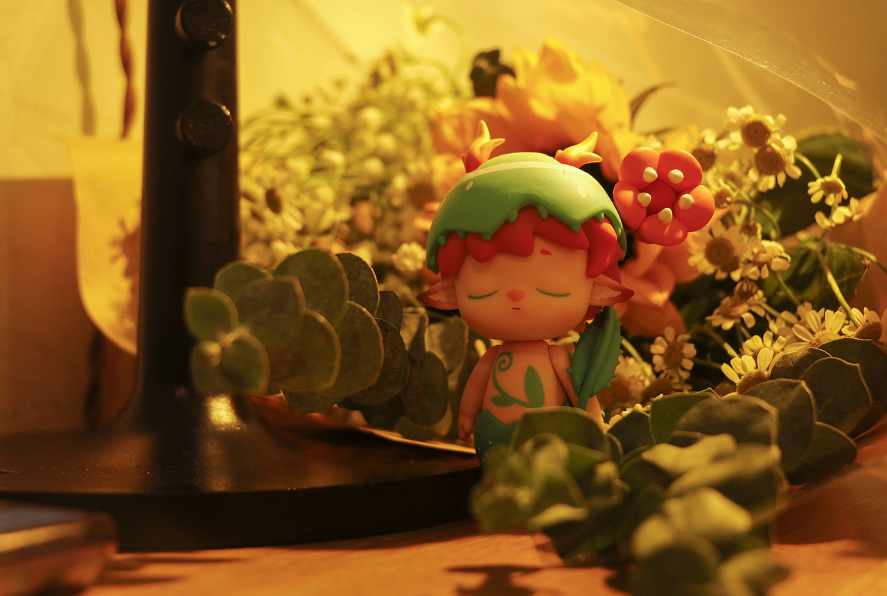 SP娃与BOB大叔二代等盲盒场景拍摄-秋（图ZMjc1OTQ4OTky） - 产品摄影 - 站酷设计师让空气飘释原创素材 - 站酷ZCOOL