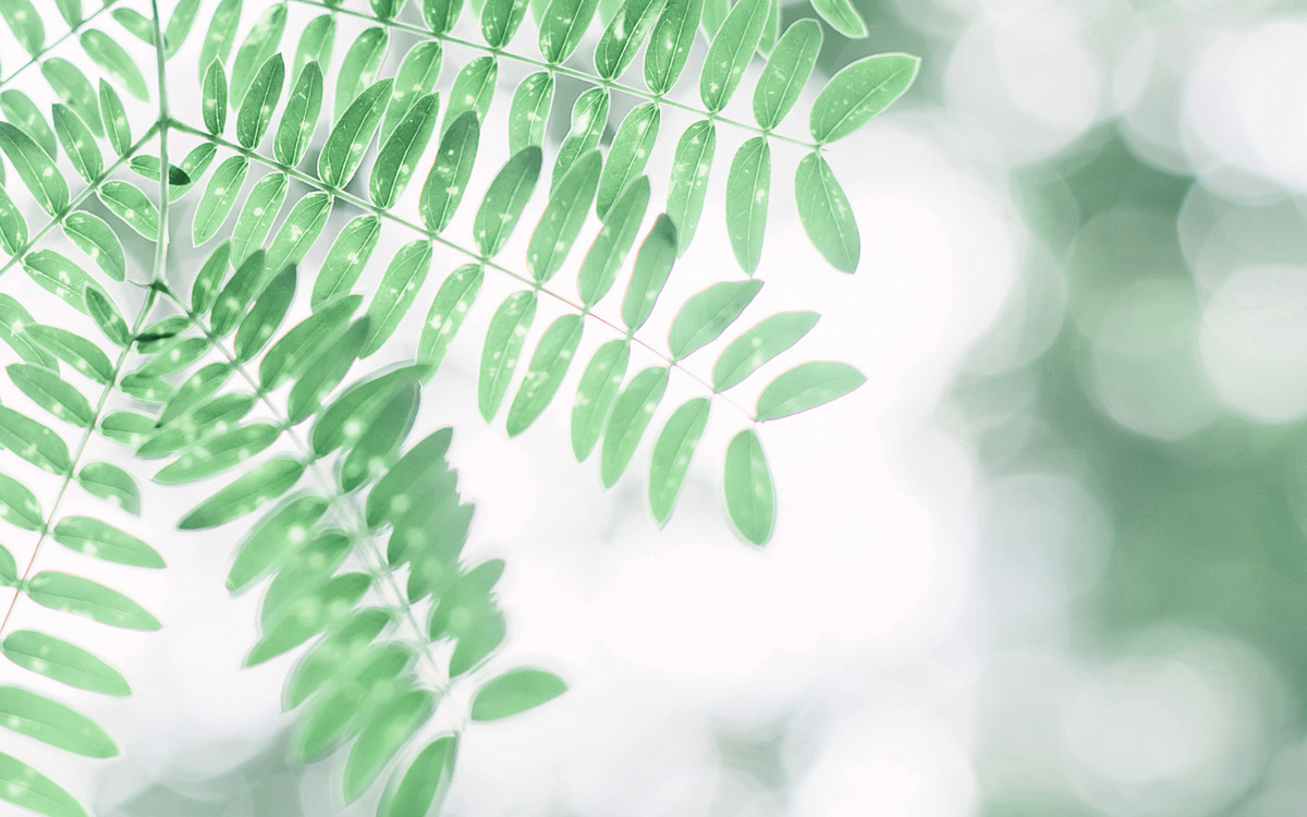 娜美子呀的个人主页（封面预览） - 主页封面设置 - 站酷设计师娜美子呀原创素材 - 站酷ZCOOL