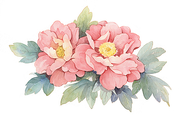 二十四番花信风(图ZNTIwMDAxMjA=) - 商业插画 - 站酷设计师小石头1125原创素材 - 站酷ZCOOL