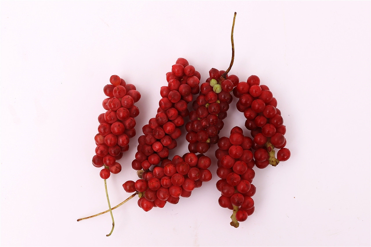 b13鲜五味子x19p