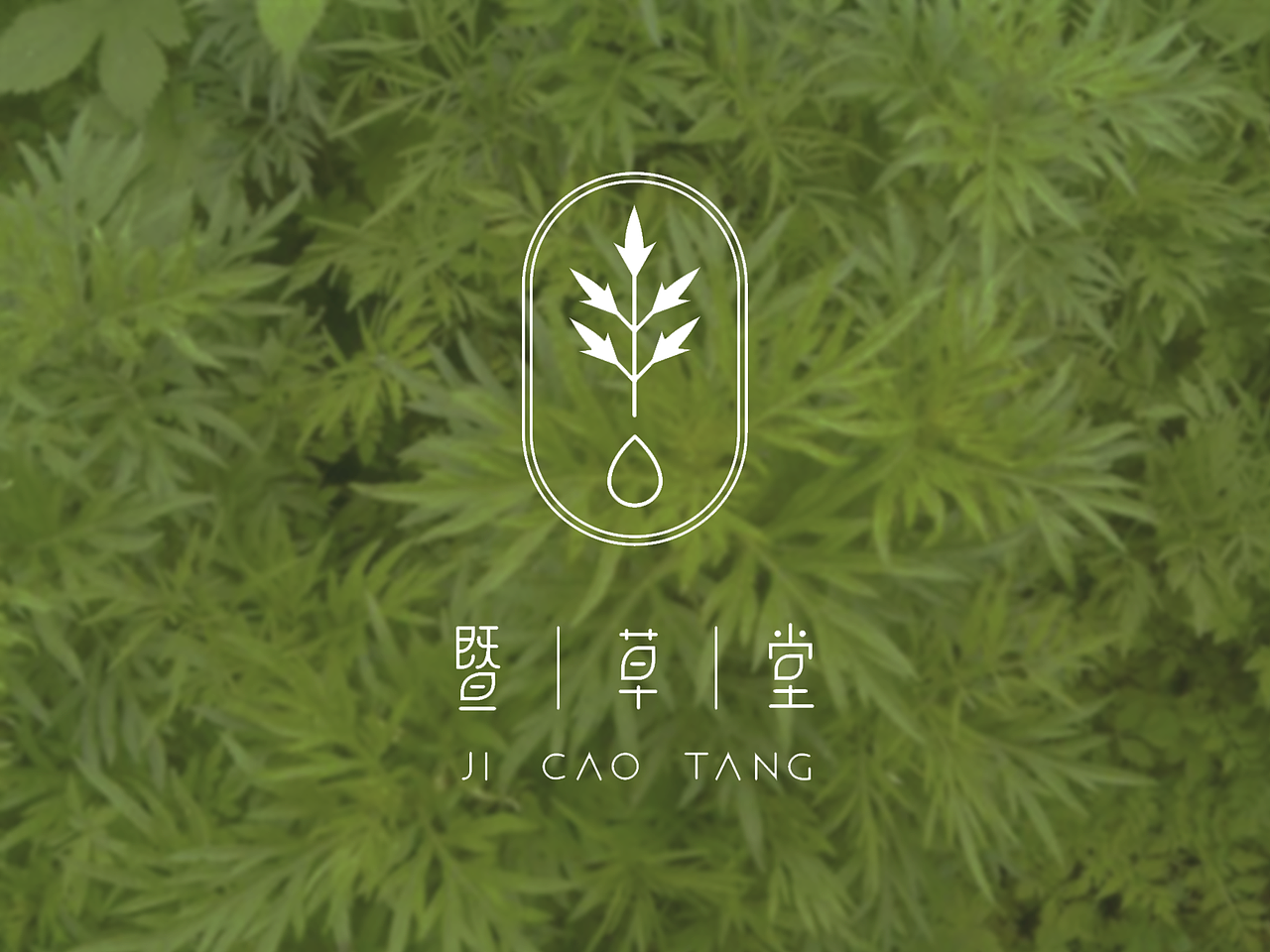 暨草堂植物护理品牌logovi设计方案