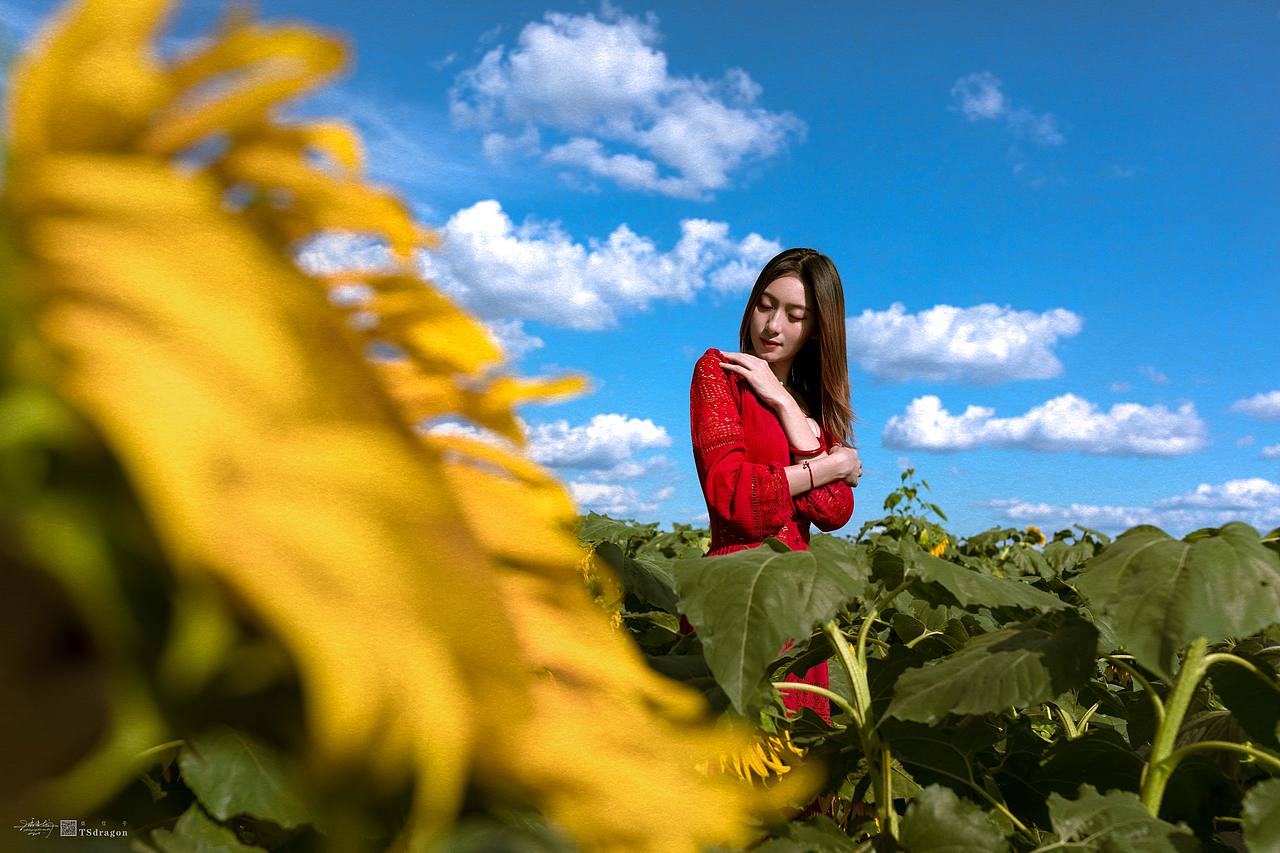 《红颜笑》（图ZMTc3NTEzMTQ0） - 人像摄影 - 站酷设计师唐少龙原创素材 - 站酷ZCOOL