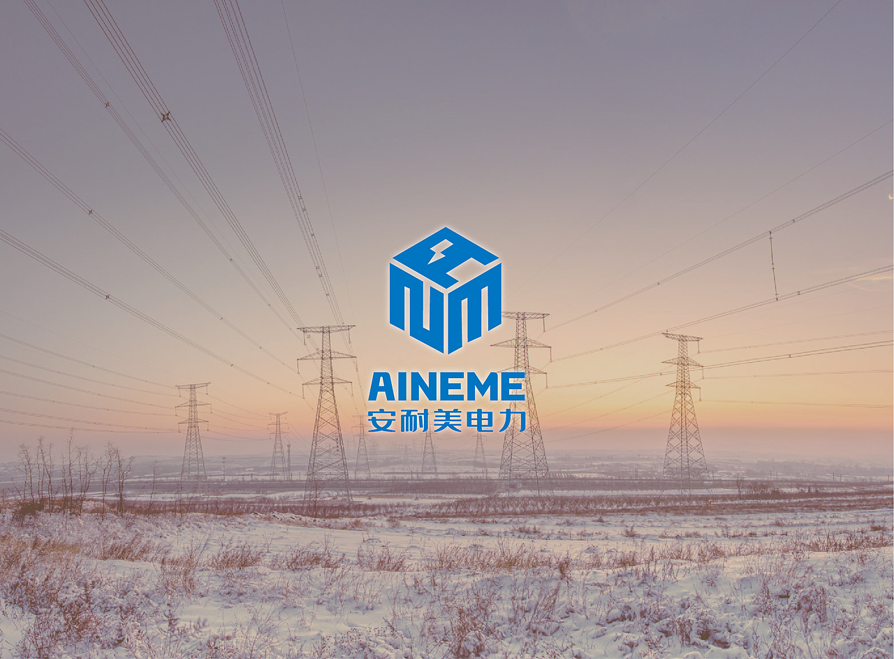 温州安耐美电力有限公司