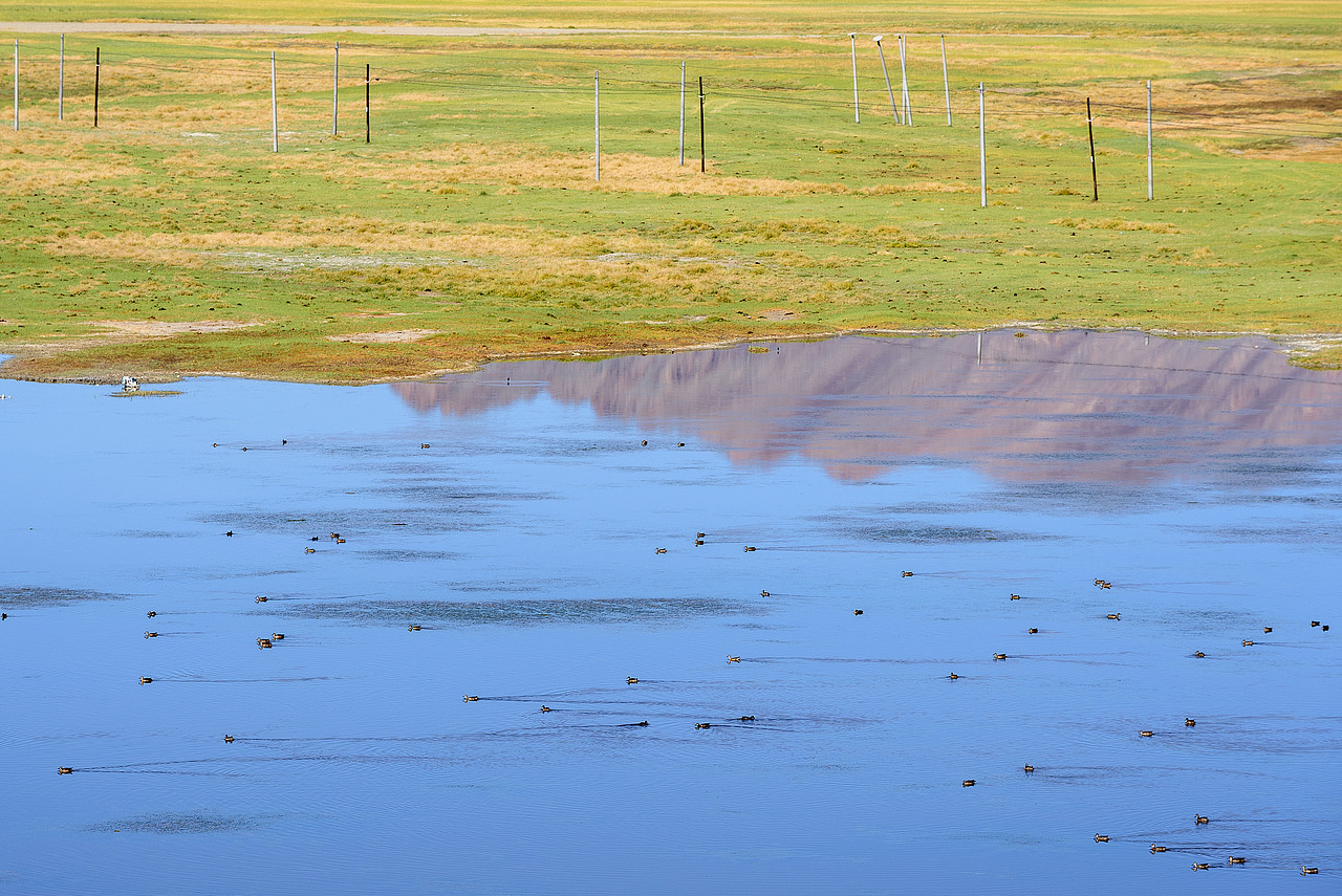 班公错湿地