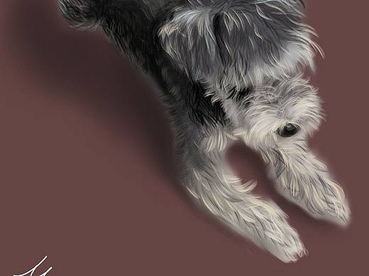 小萌宠插画  喜欢吗