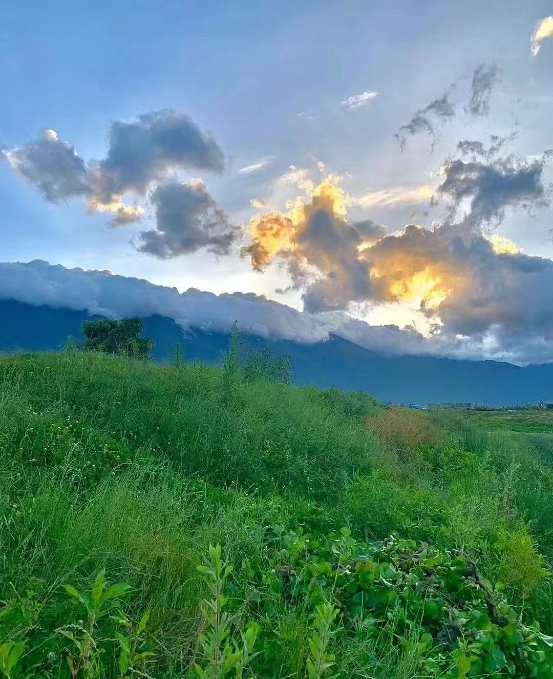 假期是值得期待的调味剂…