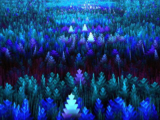 分形(Fractal)第五十四辑