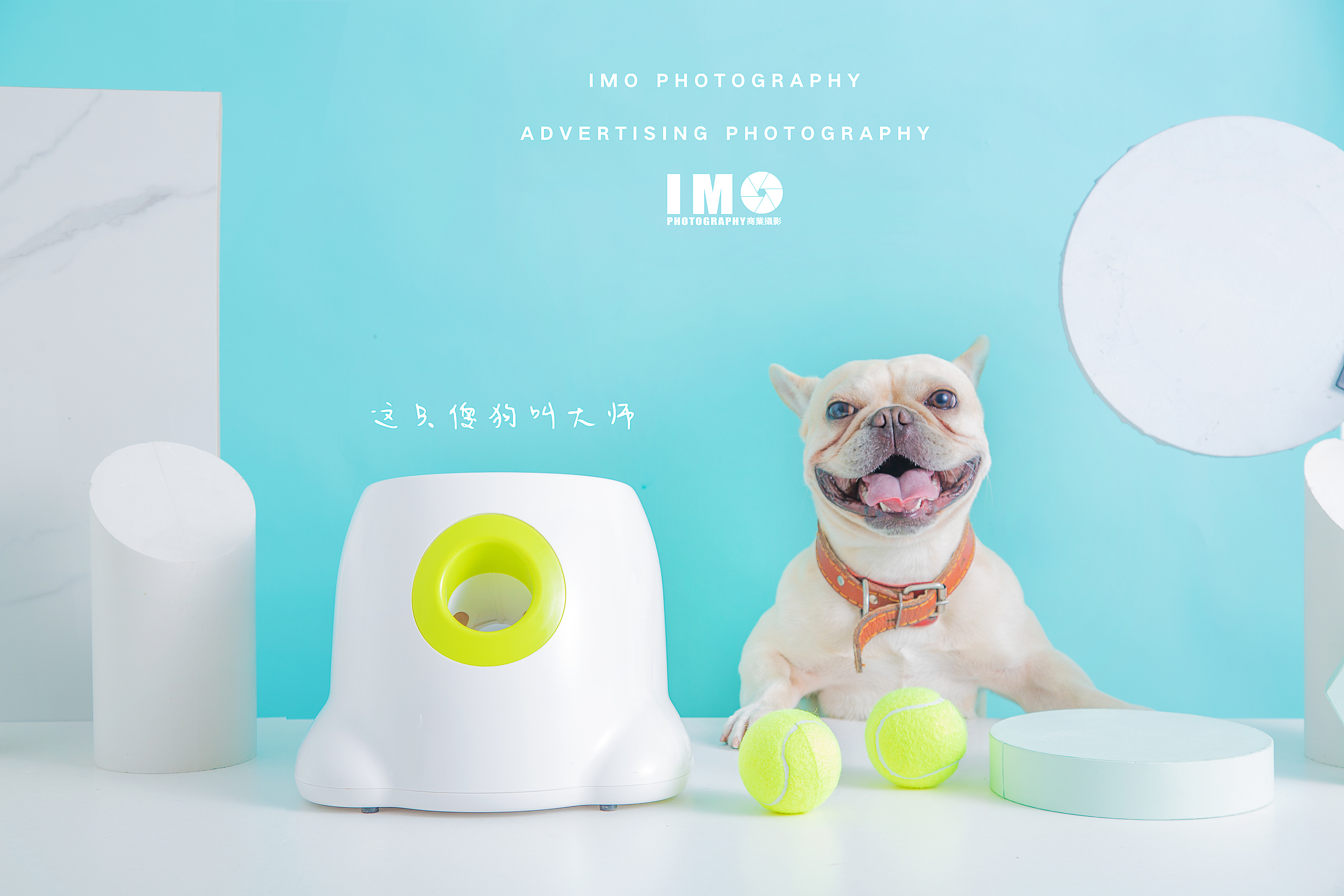 深圳宠物用品拍摄-POPOBOX|摄影|产品摄影|熊工厂宠物摄影 - 原创作品 - 站酷 (ZCOOL)