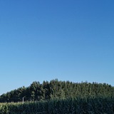 风太大会迷眼的头像