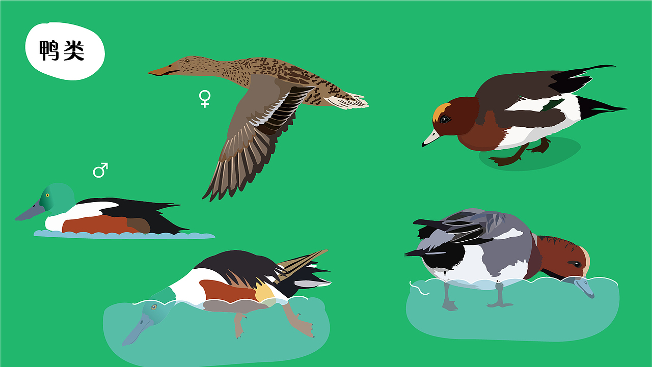 深圳湾公园湿地主题解说牌