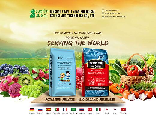 国际站旺铺装修包装袋海报