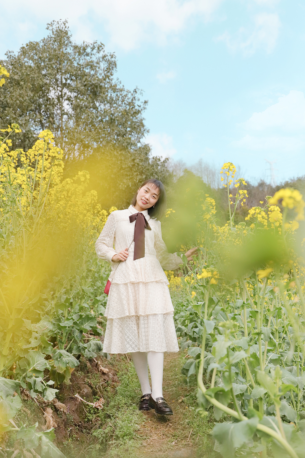 3月，花开的季节