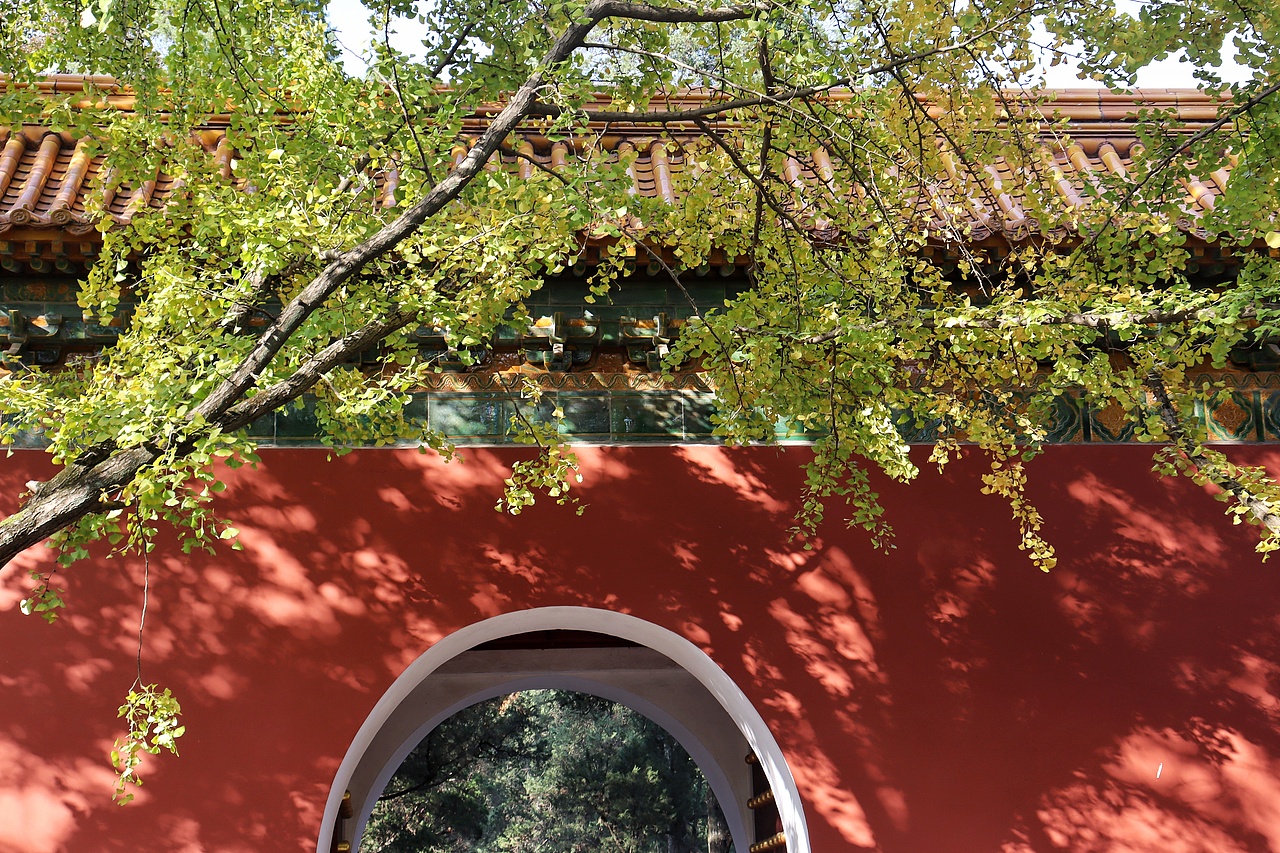 金陵的秋——明孝陵