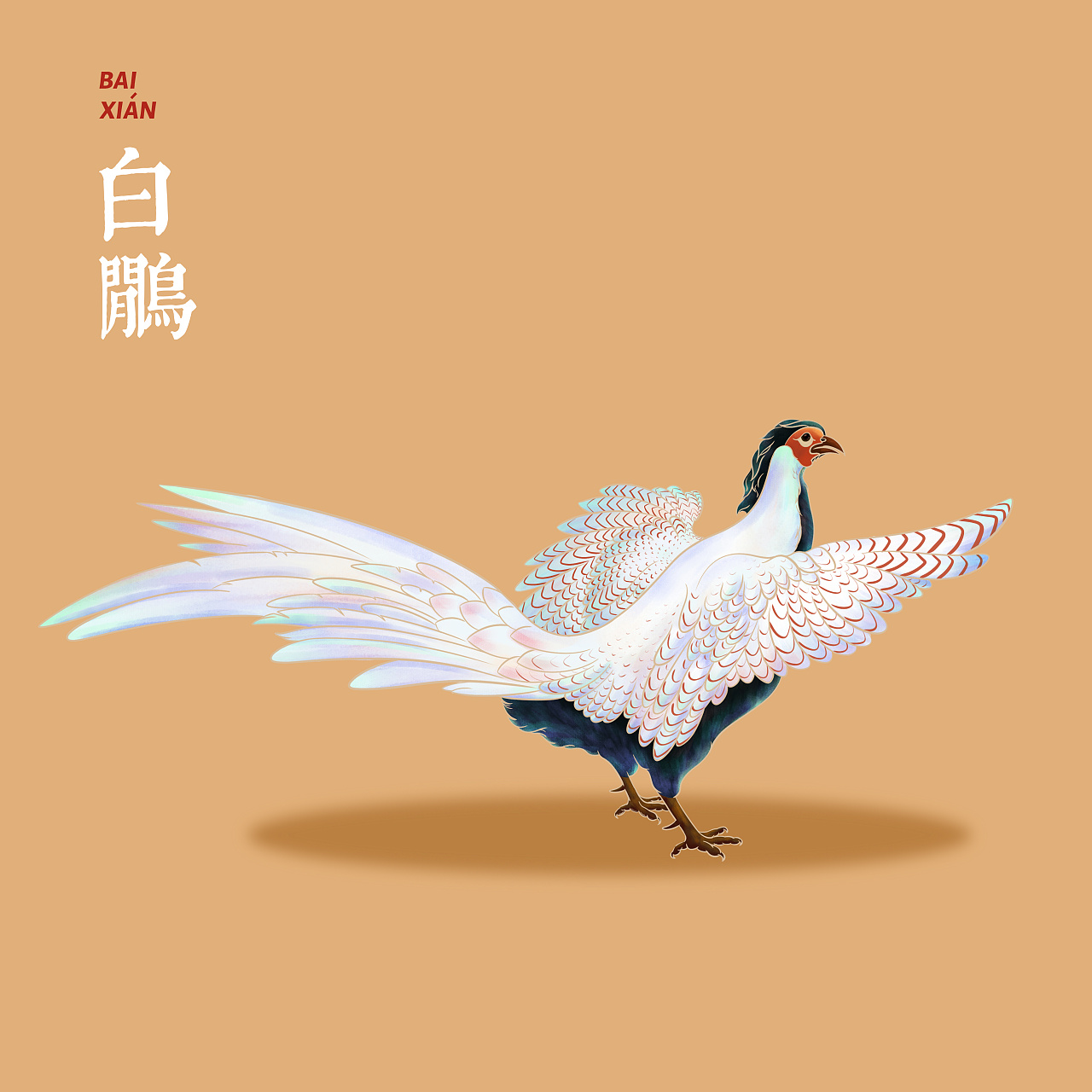 白鹇|插画|创作习作|uuuuul - 原创作品 - 站酷 (zcool)