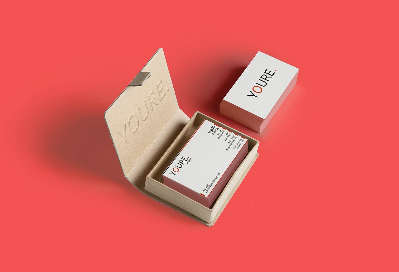 【成功案例】YOURE企业品牌形象设计
